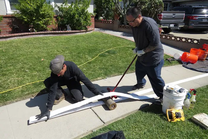 Elite Rooter SFV Picture 1