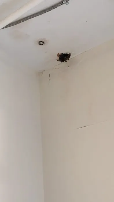 Green's Plumbing Company Inc. Picture 3