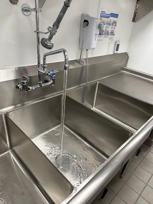 Rooter Shark Plumbing Picture 7