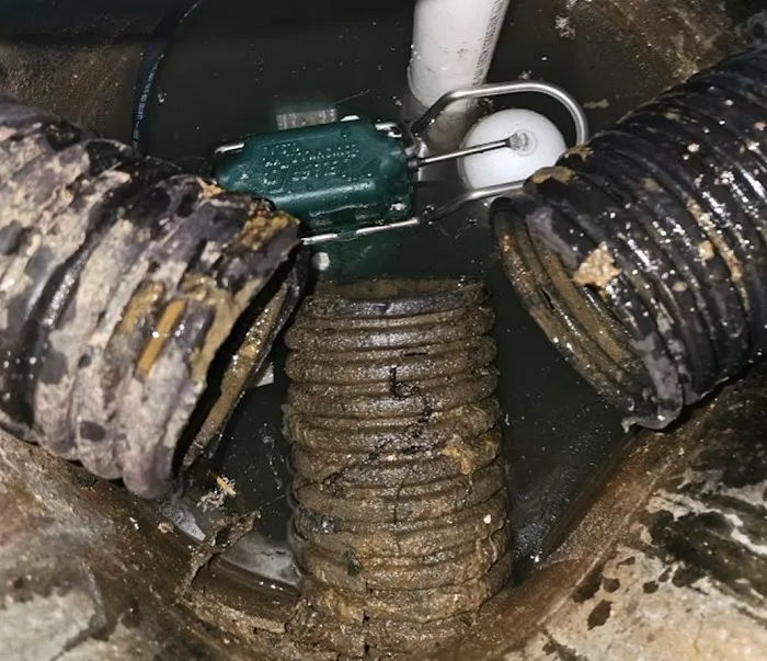 Velvet Plumbing Picture 1