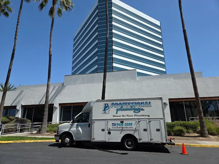 Professional Plumbing Inc Picture 1