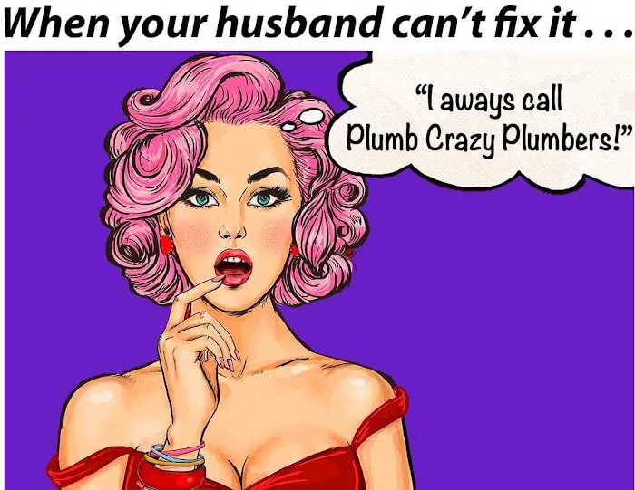 Plumb Crazy Plumbers Picture 4