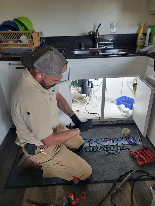 Professional Plumbing inc Picture 10