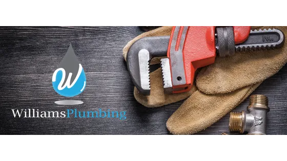 Williams Plumbing Picture 2