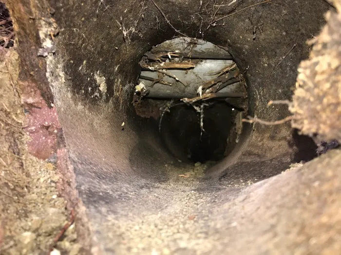 Tip Top Drain Pros & Plumbing Experts Picture 7