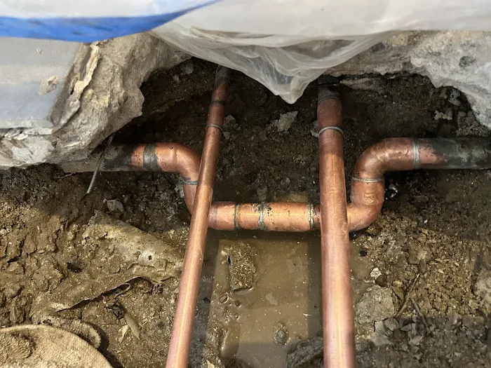 Sherlock Leak Detection Picture 10