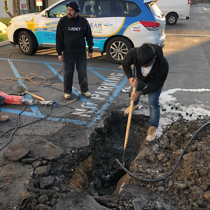 Sherlock Leak Detection Picture 7