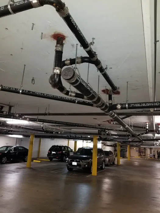 Burpee's Plumbing & Rooter Picture 2