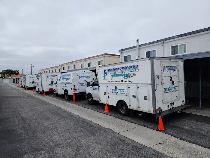 Professional Plumbing Inc Picture 5