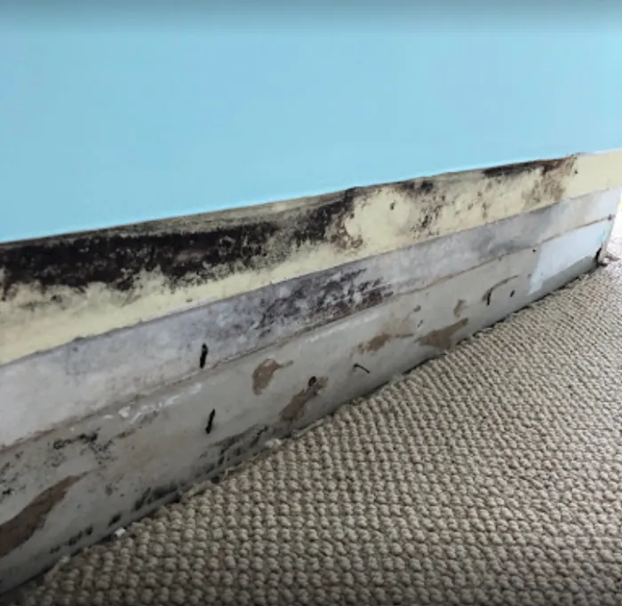 Irvine Plumbing & Drain Picture 6