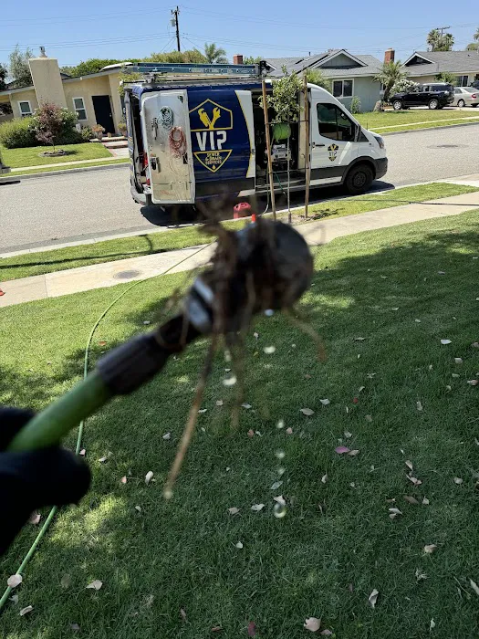 VIP Sewer and Drain Services, Inc Picture 2