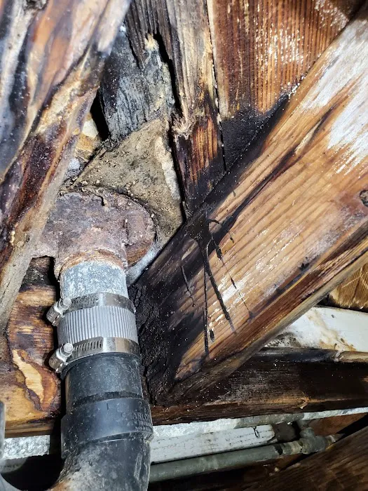 VIP Sewer and Drain Services, Inc Picture 6