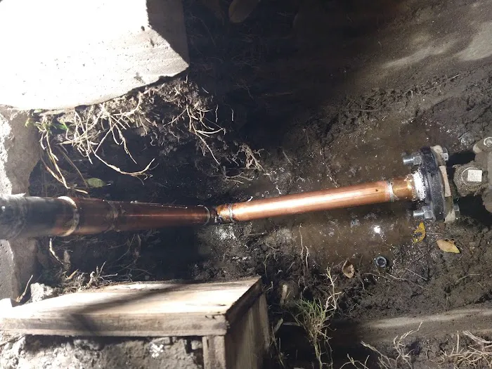 Drain Edge Rooter Picture 5