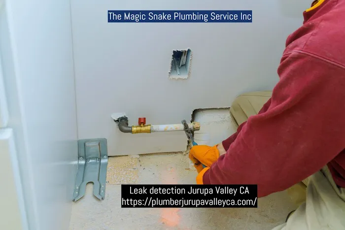 The Magic Snake Plumbing Service Inc Picture 1