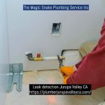 The Magic Snake Plumbing Service Inc