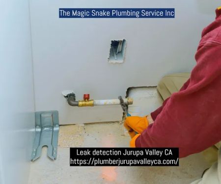 The Magic Snake Plumbing Service Inc