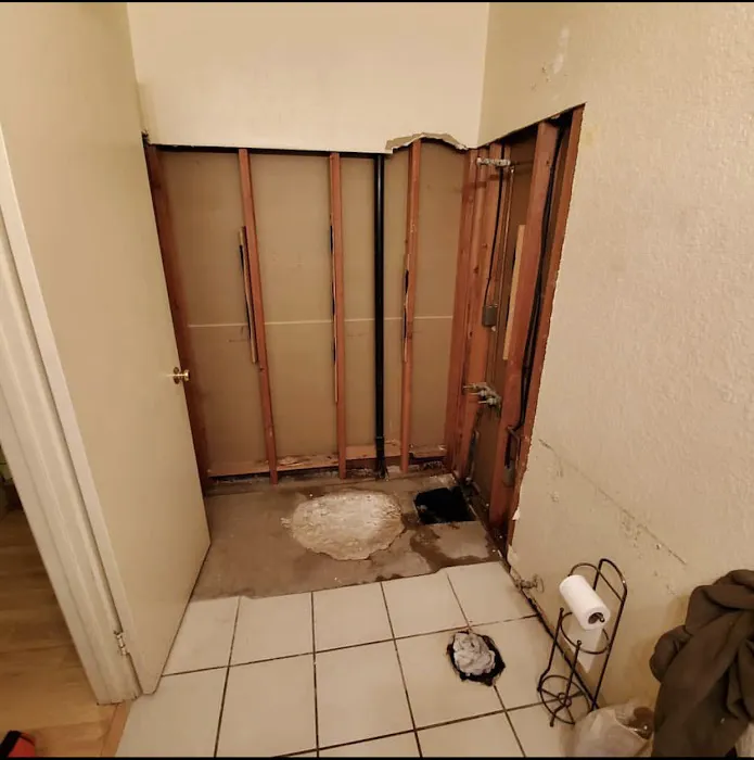 Percy and Percy Plumbing Picture 6