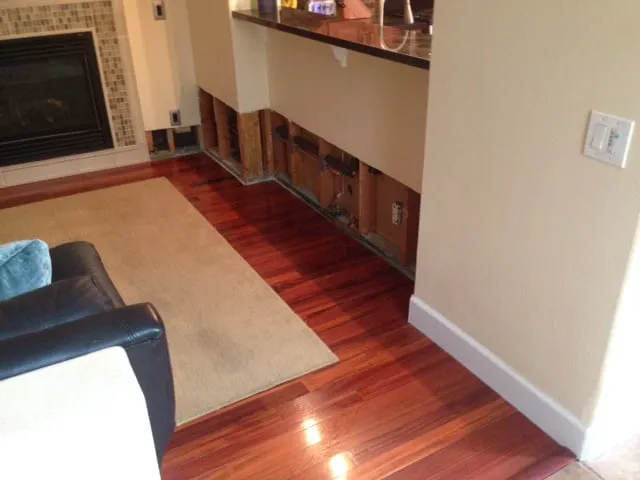 Slab Leaks Plus Inc., Leak Detection Specialists Picture 1