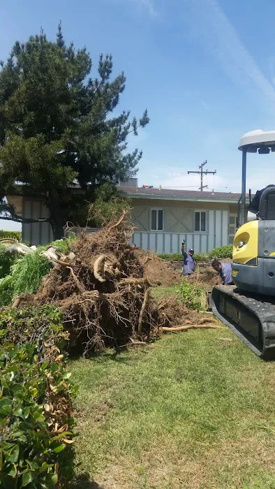 Big Mike's Rooter & Plumbing Company, Inc. Picture 5