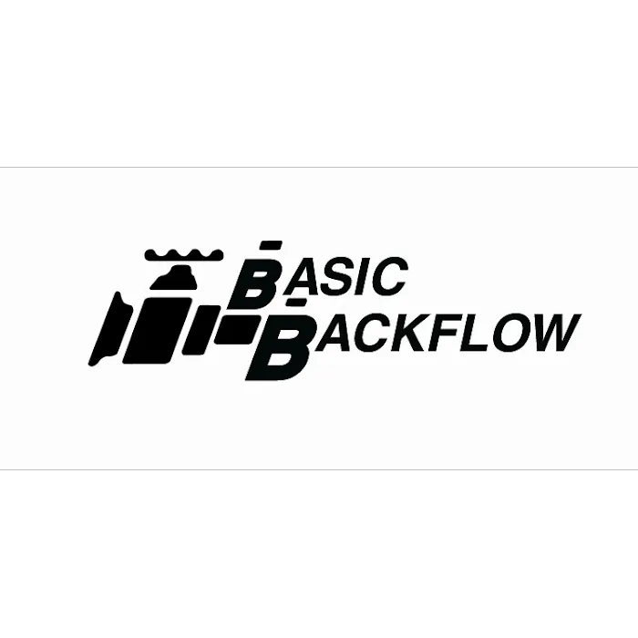 Basic Backflow Picture 1