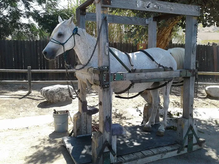 George R Baca Construction Picture 6