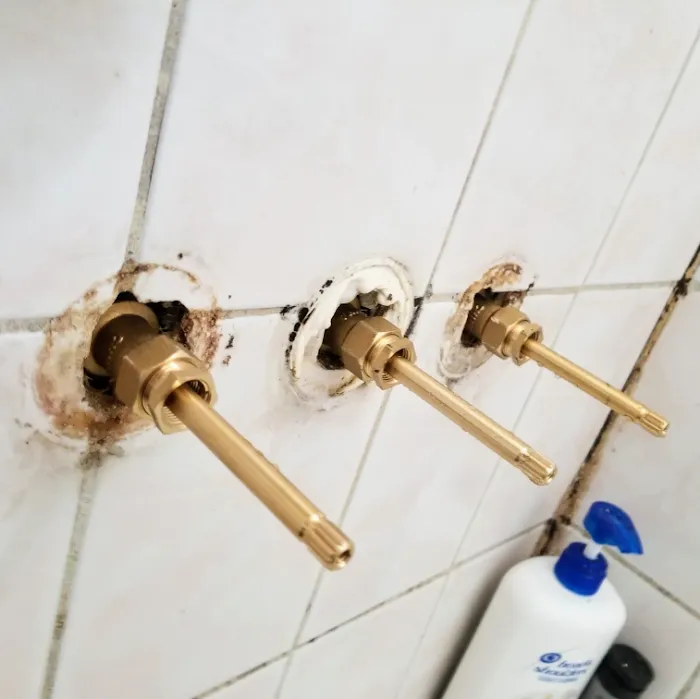 Bad Drains Plumbing Picture 2