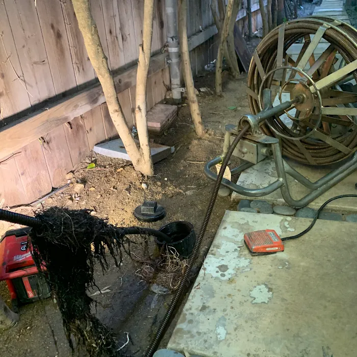 Bad Drains Plumbing Picture 3