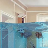 Larry V. Plumbing ico