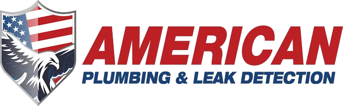 American Plumbing & Leak Detection Picture 1