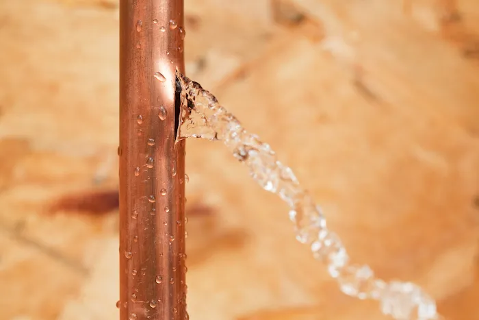 Inland Dry Pro Picture 9