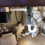 Brothers Plumbing Services