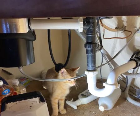 Brothers Plumbing Services