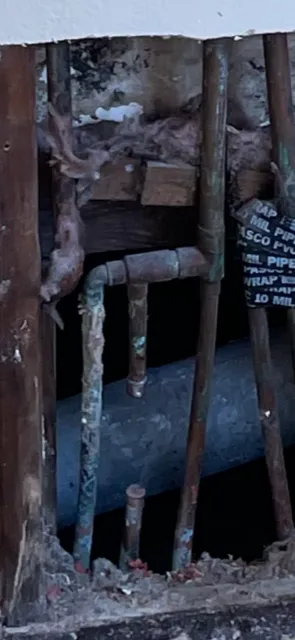 DCP Direct Connection Plumbing Inc Picture 4