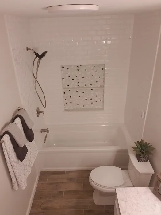 Dynasty Plumbing Picture 4