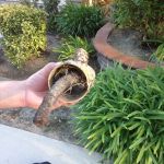 General Plumbing Services