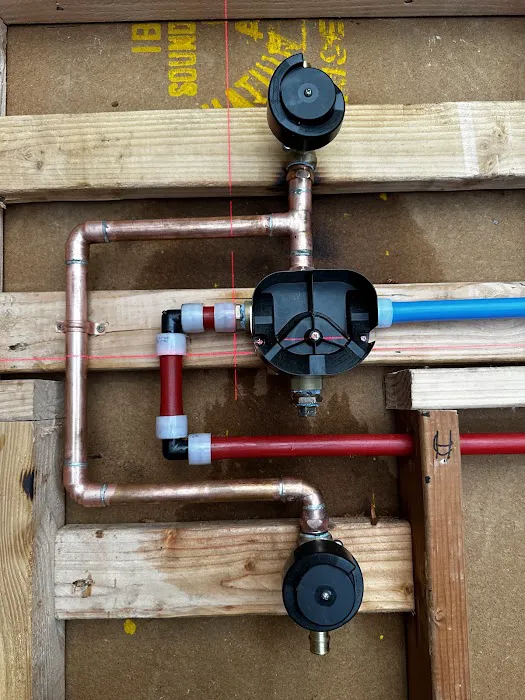 The Passionate Plumber Picture 6