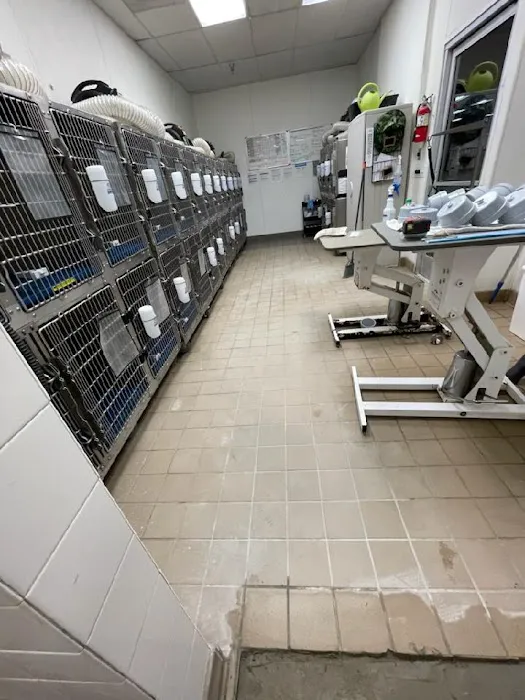 West Coast Plumbing and Drains Inc. Picture 7
