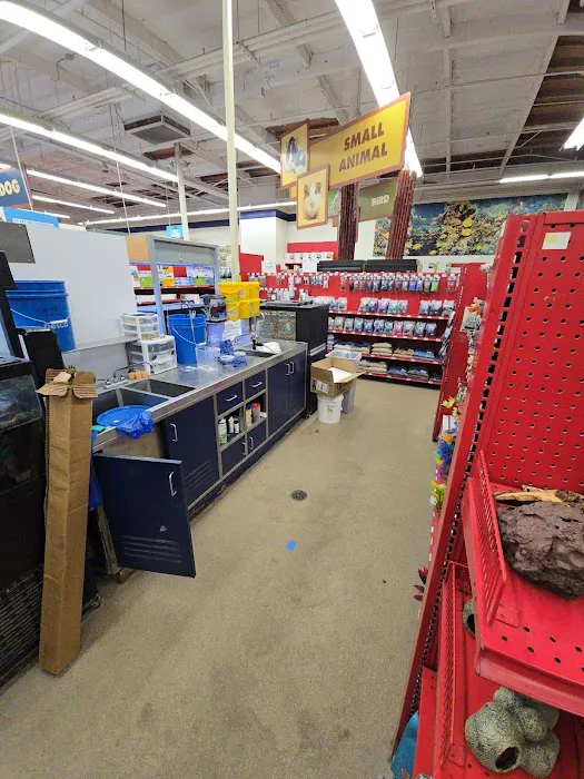 West Coast Plumbing and Drains Inc. Picture 2