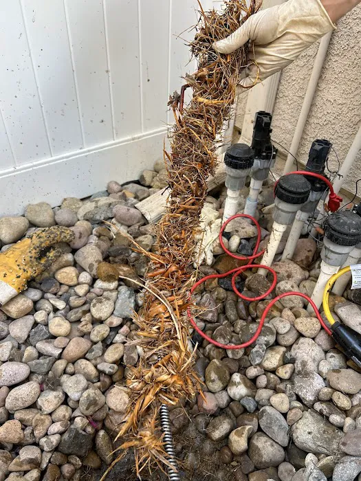 Zoom Drain Picture 8