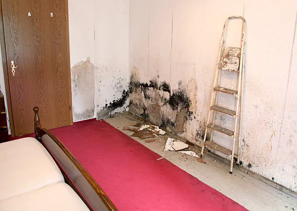 L&S TurnKey Plumbing & Restoration - 24 Hour Emergency Plumber Picture 9