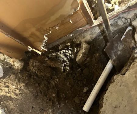Sabastian and Sons Plumbing services LLC