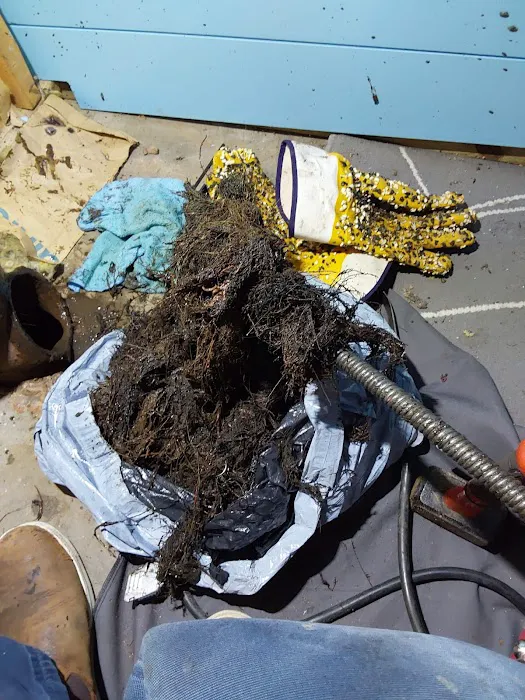Ron the Sewer Rat Picture 7