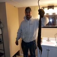 Drain Solutions LLC ico