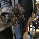 Viking Sewer & Drain Cleaning