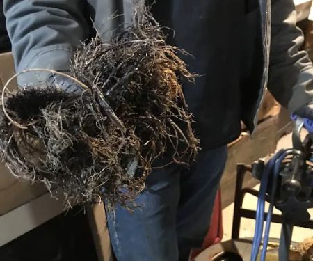 Viking Sewer & Drain Cleaning