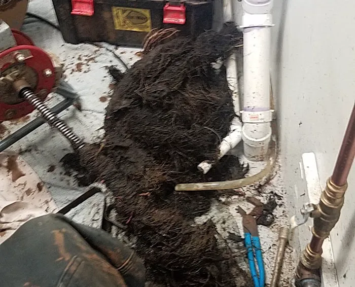 Guy's Sewer & Drain Picture 1