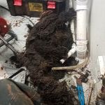 Guy's Sewer & Drain