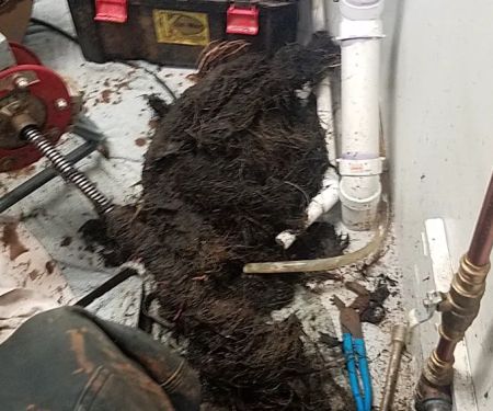 Guy's Sewer & Drain