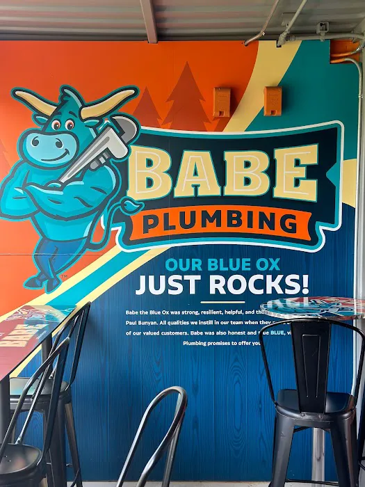 Babe Plumbing, Drains, Water Heaters Picture 4