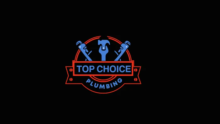 Top Choice Plumbing LLC Picture 3